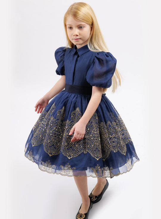 Gold Embroidered Dress